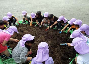 ブルーシートの上で、土に腐葉土と肥料を混ぜ、土づくりをする５歳児達。